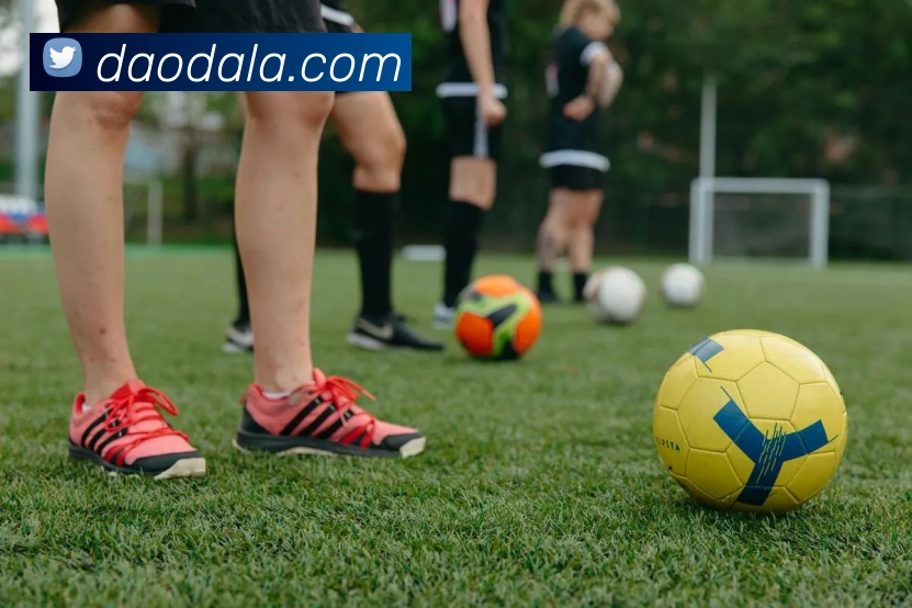 安博登录入口网页版平台生态图