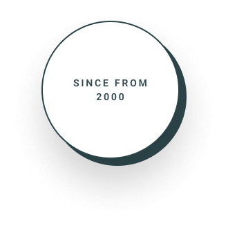 https://wpdemo.zcubethemes.com/dahotel/wp-content/uploads/2024/07/since.png